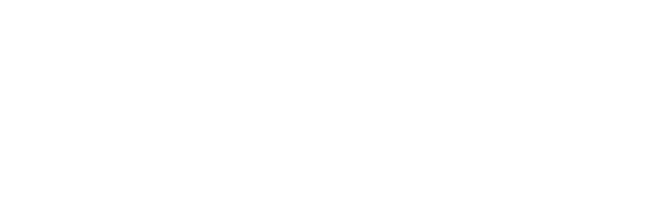 i9 logo